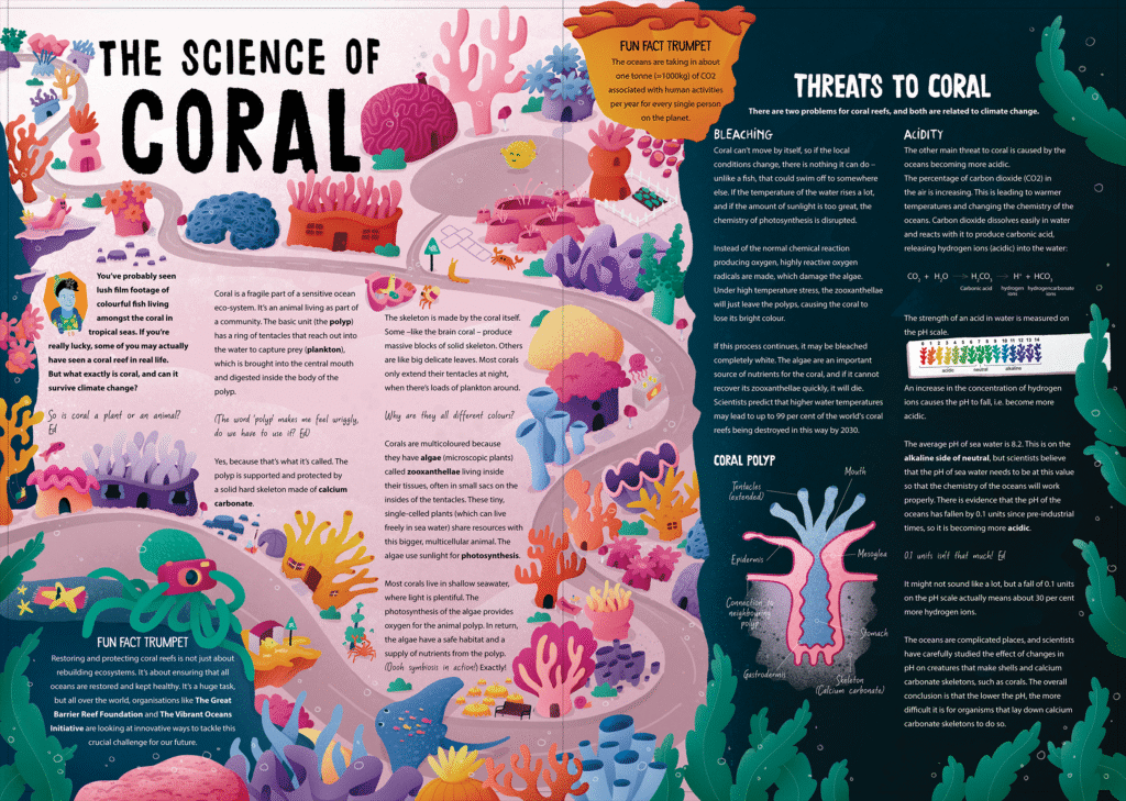 Aquila Illustrated Spread